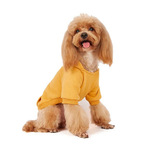 New Dog Hoodie Sweater