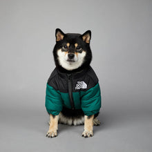 Load image into Gallery viewer, THE DOG FANS Designer Coat