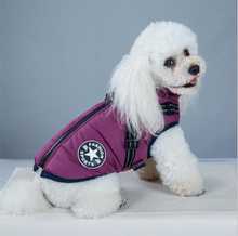 Load image into Gallery viewer, Pet Vest Dog Pet Harness Zipper 
