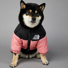 Load image into Gallery viewer, THE DOG FANS Jacket