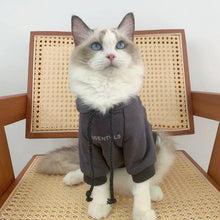 Load image into Gallery viewer, Essential Hoodie Pet Fashion Clothing