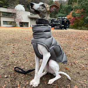 DOGGY PUFFER Vest