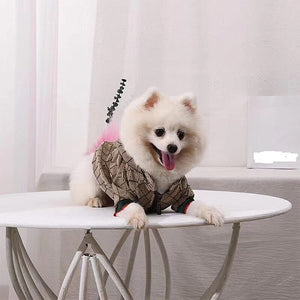 Pawcci Luxury Classic Dog Winter Designer Jacket