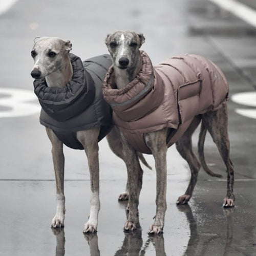 DOGGY PUFFER Vest
