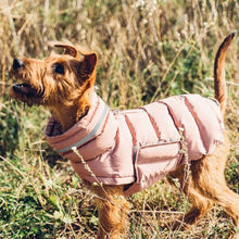 Load image into Gallery viewer, DOGGY PUFFER Vest