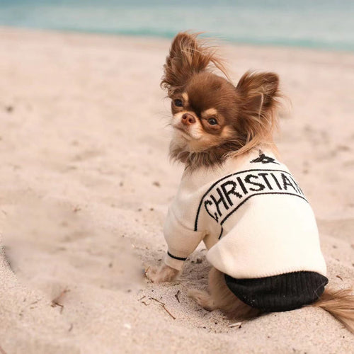 CHRISTIAN DOG Luxury Wool Sweater Designer Inspired