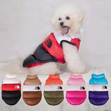 Load image into Gallery viewer, Color Block Dog Designer Windproof